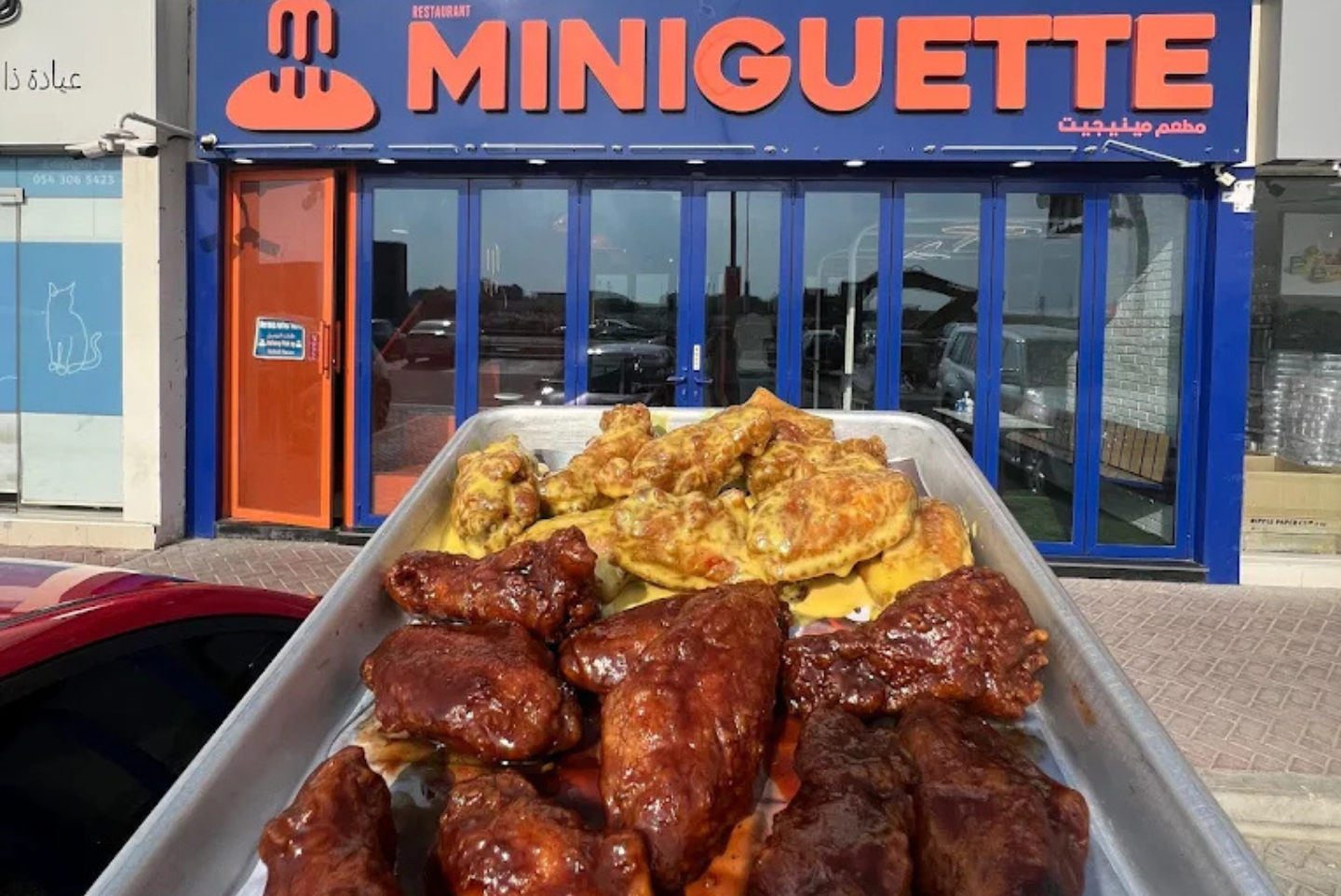 Why Miniguette’s Wings Are Different (1)